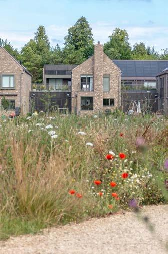 A garden with tall grasses and wildflowers, including white, red, and purple blooms, in front of modern houses with brick walls and black fencing. Trees and a partly cloudy sky are in the background.