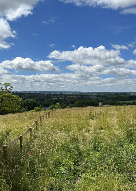 A grassy field with a wooden fence running along the left side, extending into the distance under a blue sky with scattered white clouds. In the background, trees and rolling hills are visible.