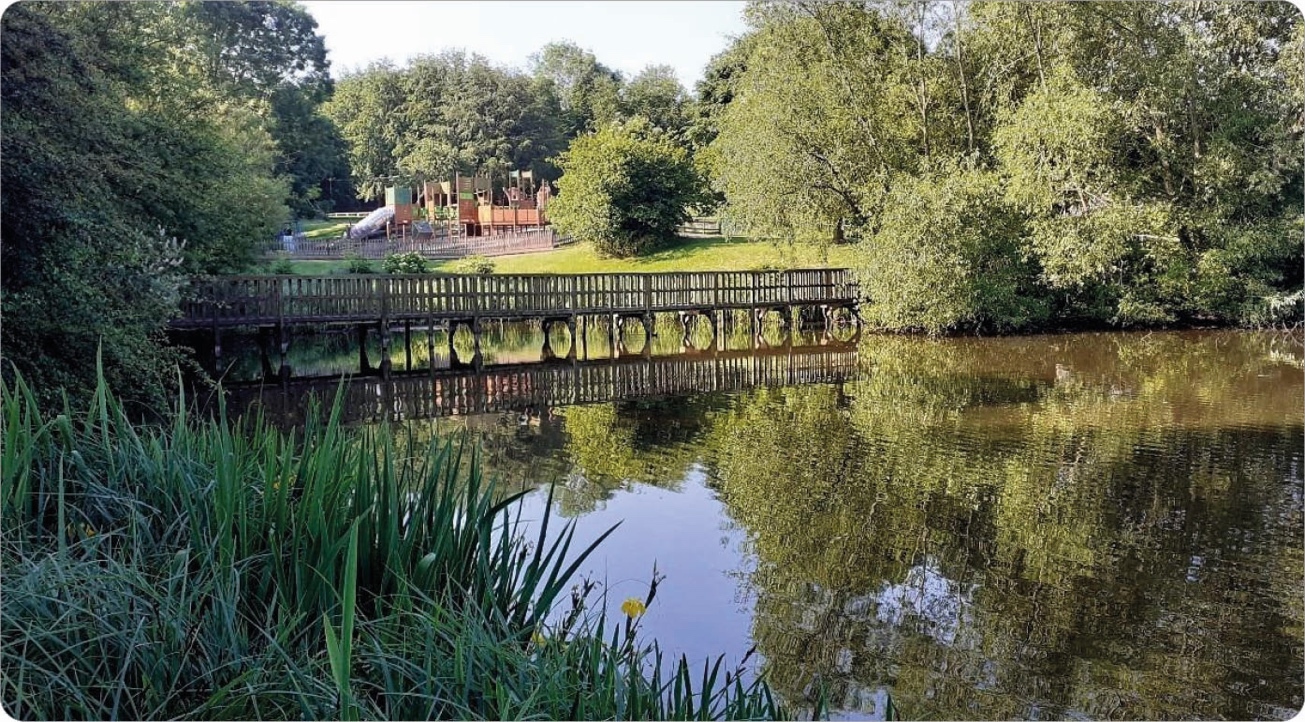 A calm river reflecting trees and sky, with a wooden bridge crossing over it, lush green foliage on both sides, a playground in the background.