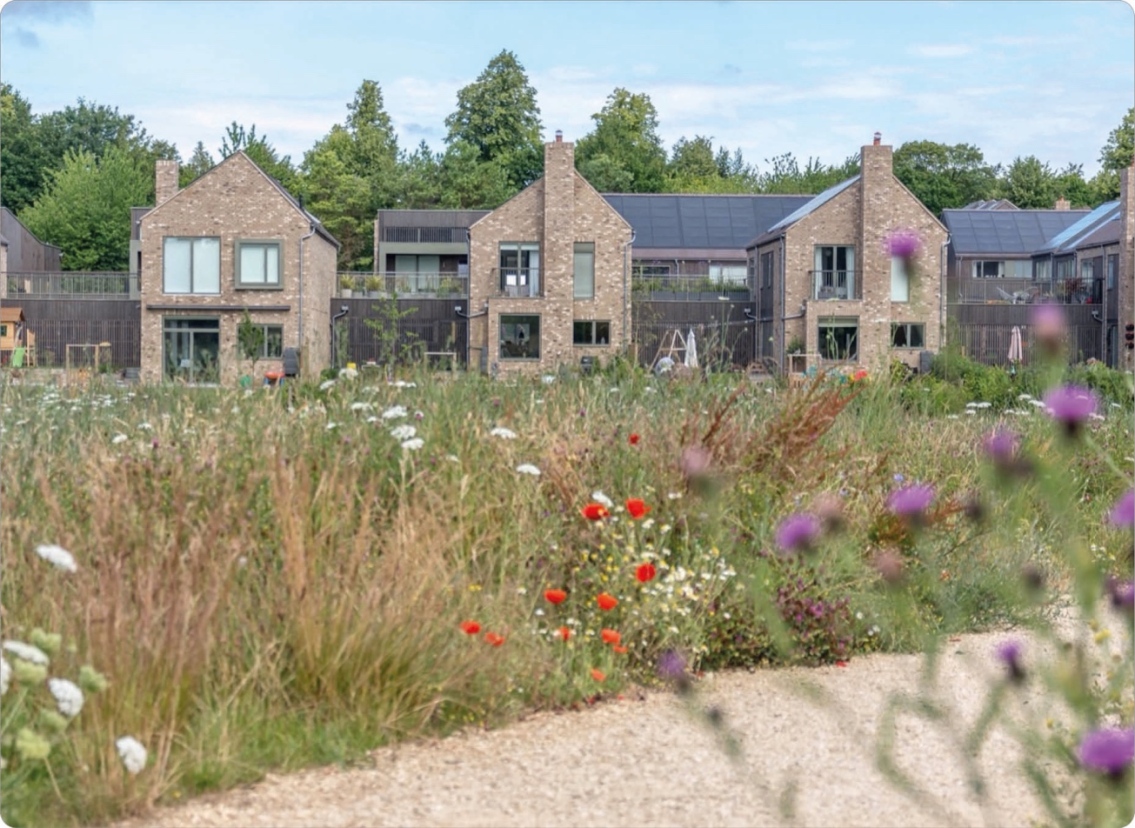 Colorful wildflowers and tall grasses in foreground with modern brick houses and trees in background under a partly cloudy sky.