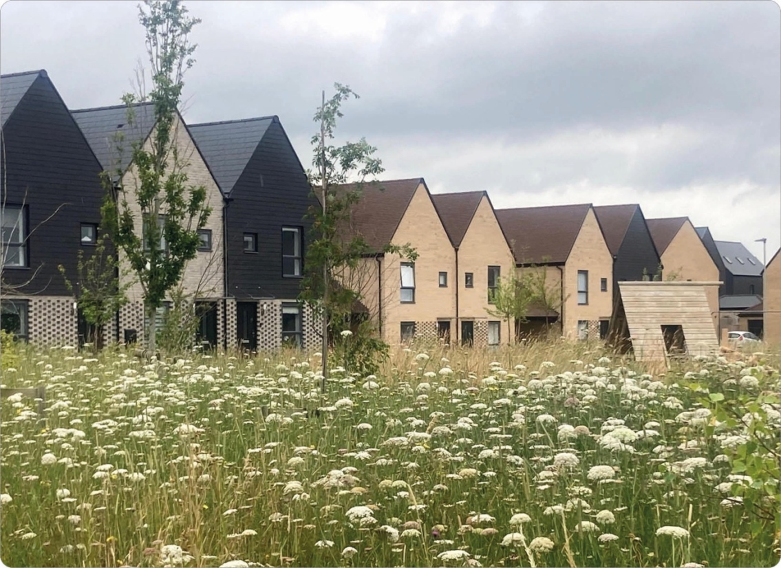 Row of modern, two-story houses with varying black, beige, and tan exteriors, pitched roofs, and small rectangular windows, set behind a field of tall grass and white wildflowers, with a cloudy sky overhead.