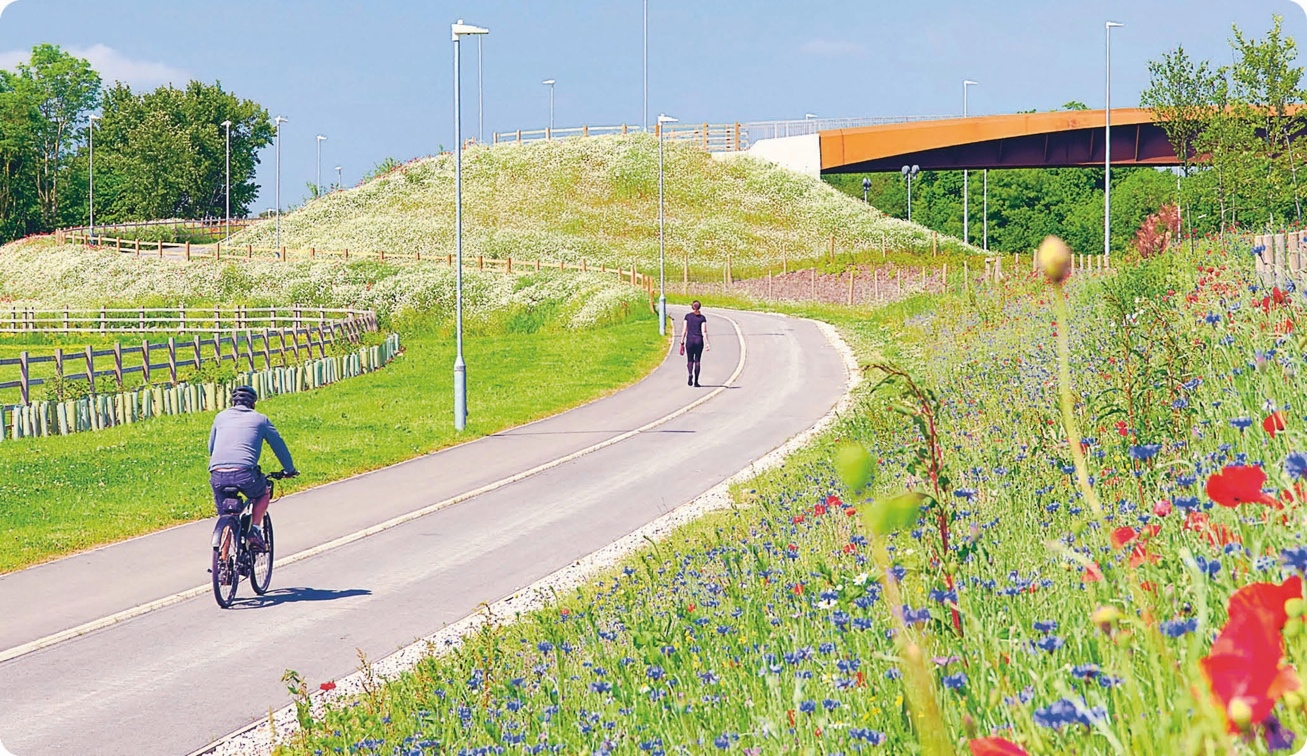 A cyclist rides along a curved paved road bordered by colorful wildflowers, with a pedestrian walking ahead on the same path. There is a grassy hill with white flowers and wooden fences on the left, and a bridge overpass in the background. Tall streetlights line the road, and trees are visible at the top of the hill. The sky is partly cloudy.