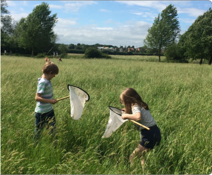 Two children stand in a grassy field with tall grass, each holding a butterfly net. One child is a boy in a striped shirt, the other a girl with long hair and a white shirt. They appear to be catching insects. Trees and a distant town are visible under a partly cloudy sky.