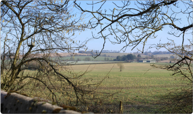 Bare tree branches extend across the top of the image, framing a rural landscape with open fields, a distant tree line, and farm buildings under a clear blue sky.